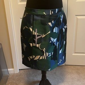 Ann Taylor skirt